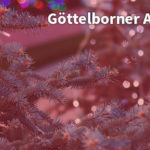 Der Göttelborner Adventsmarkt 2016